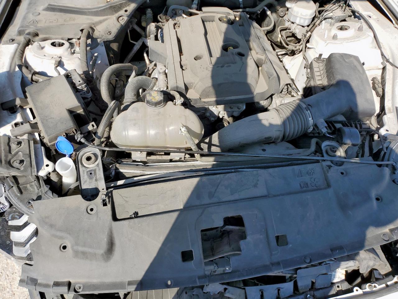 2020 Ford Mustang VIN: 1FA6P8TH8L5178807 Lot: 85181545