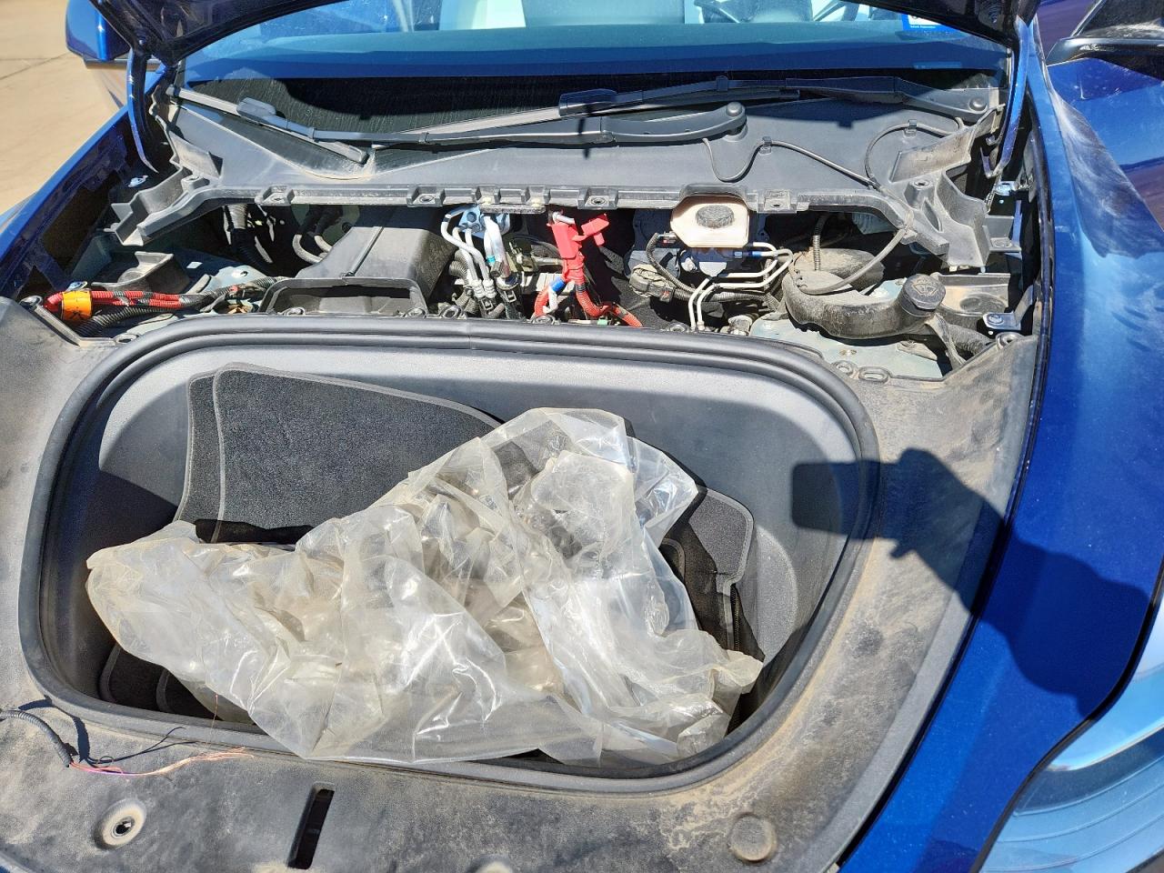 2023 Tesla Model Y VIN: 7SAYGDEE1PA080284 Lot: 85844685