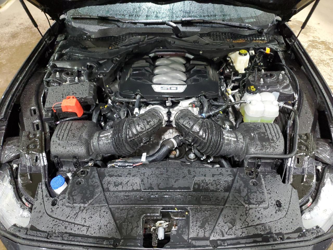 2024 Ford Mustang Gt VIN: 1FA6P8CF5R5416720 Lot: 81937855