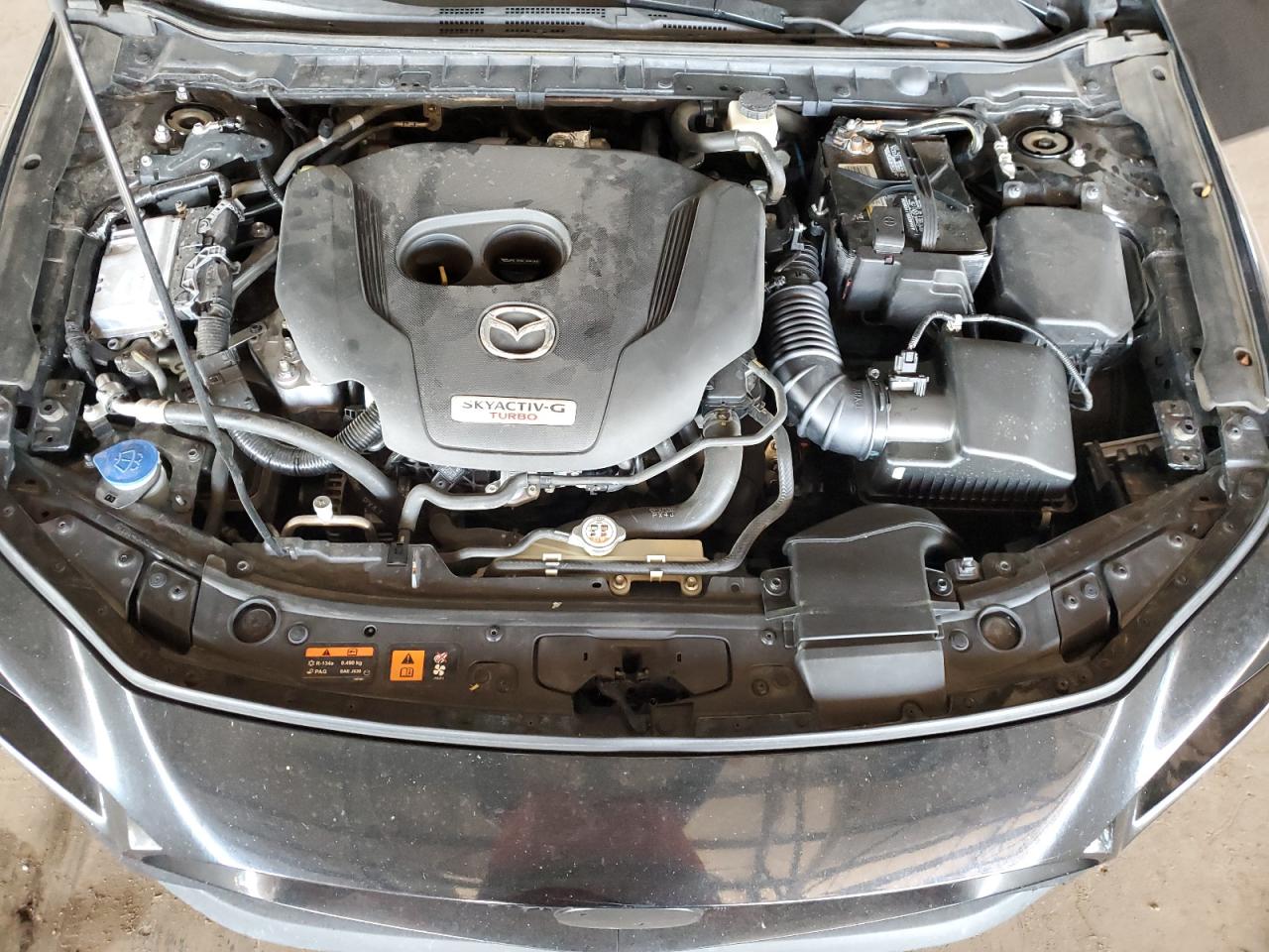 2021 Mazda 3 Premium Plus VIN: JM1BPBNY7M1334766 Lot: 82687285