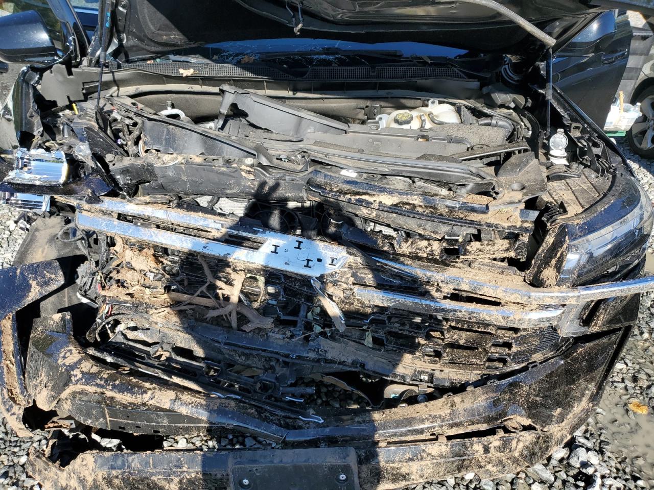 2023 Chevrolet Tahoe K1500 VIN: 1GNSKLED3PR157423 Lot: 85883415