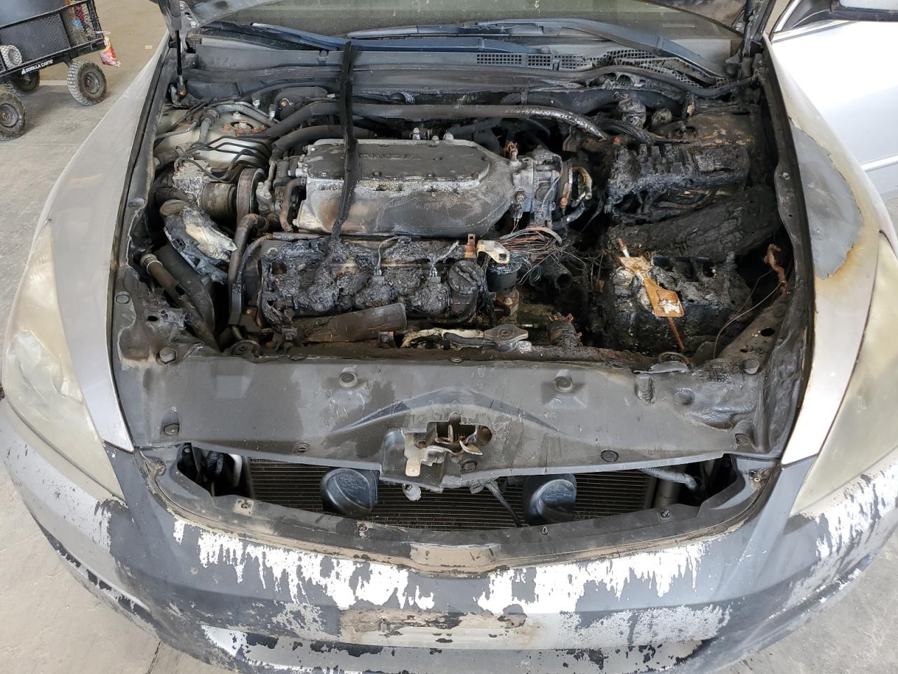 2006 Honda Accord Ex VIN: 1HGCM65586A063814 Lot: 85113655