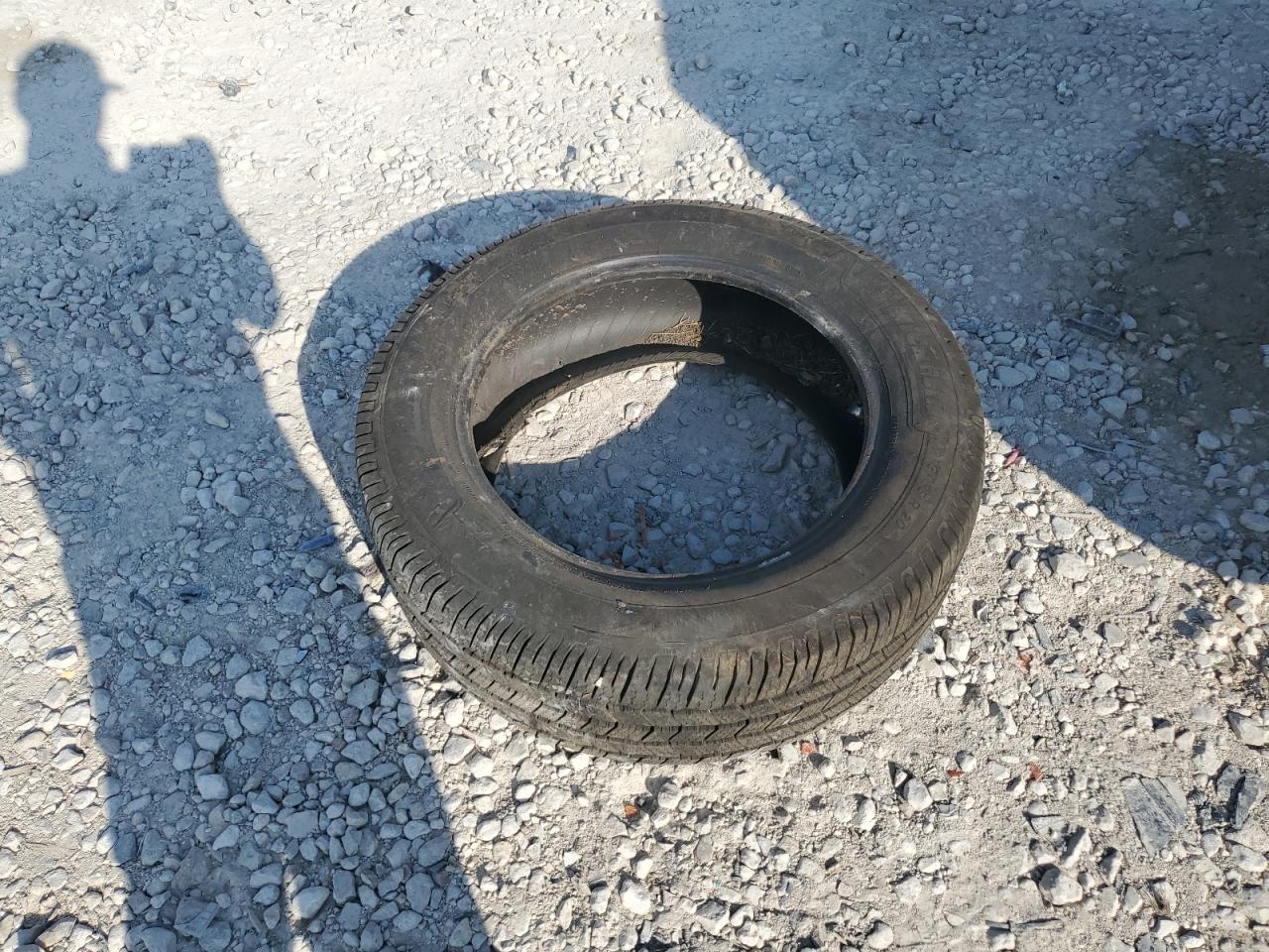 2010 Ford F150 Supercrew VIN: 1FTFW1EV5AFC84419 Lot: 87479455