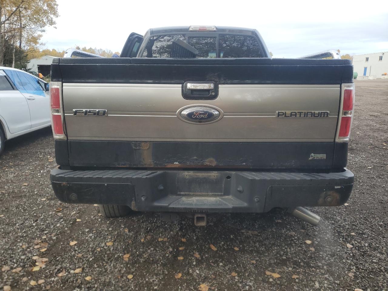 2010 Ford F150 Supercrew VIN: 1FTFW1EV5AFC87336 Lot: 89728685