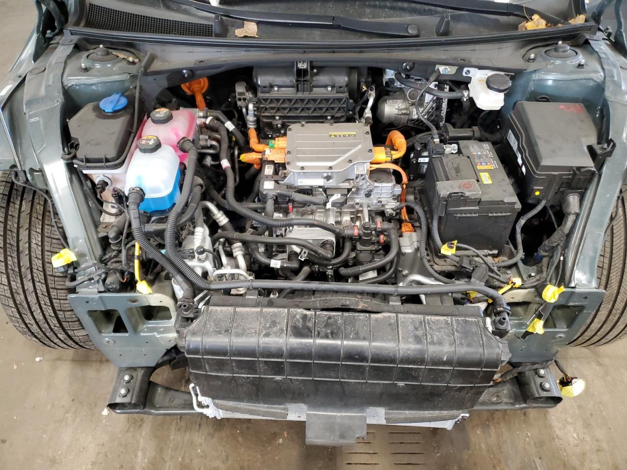 2024 Hyundai Ioniq 5 Sel VIN: KM8KNDDF0RU334529 Lot: 81886255