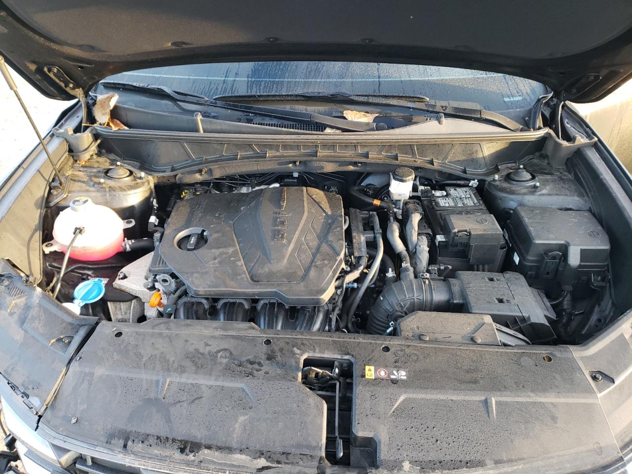 2025 Hyundai Tucson Sel VIN: 3KMJBCDE5SE008348 Lot: 82459755