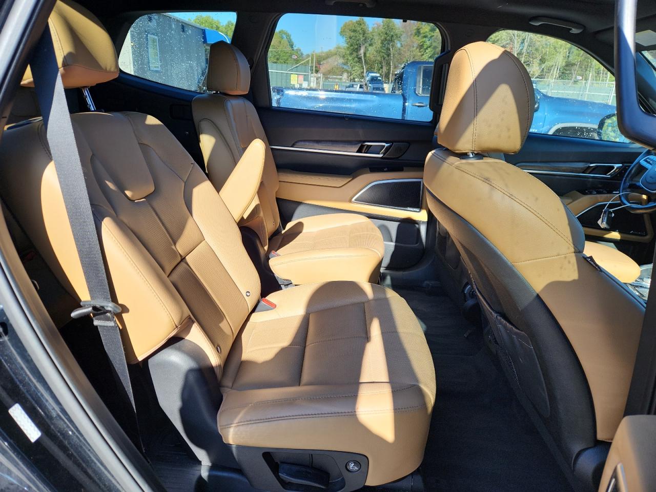 2020 Kia Telluride Sx VIN: 5XYP5DHC6LG048297 Lot: 85839005