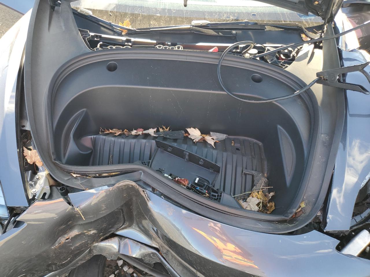 2023 Tesla Model 3 VIN: 5YJ3E1EB2PF666657 Lot: 89436275