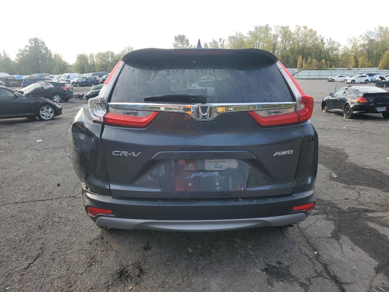 2019 Honda Cr-V Ex VIN: 5J6RW2H57KA010176 Lot: 82675795