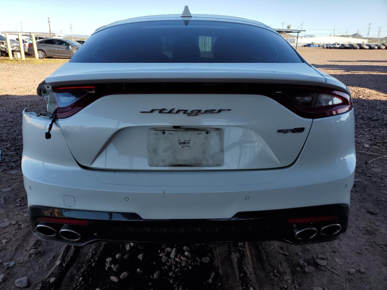 2020 Kia Stinger VIN: KNAE15LA4L6076596 Lot: 81948795