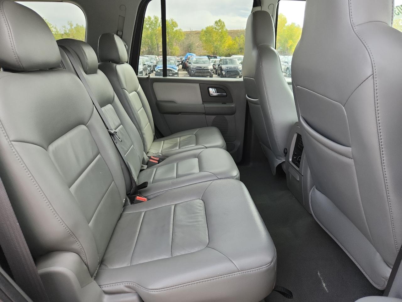 2006 Ford Expedition Xlt VIN: 1FMFU16566LA31411 Lot: 85002035