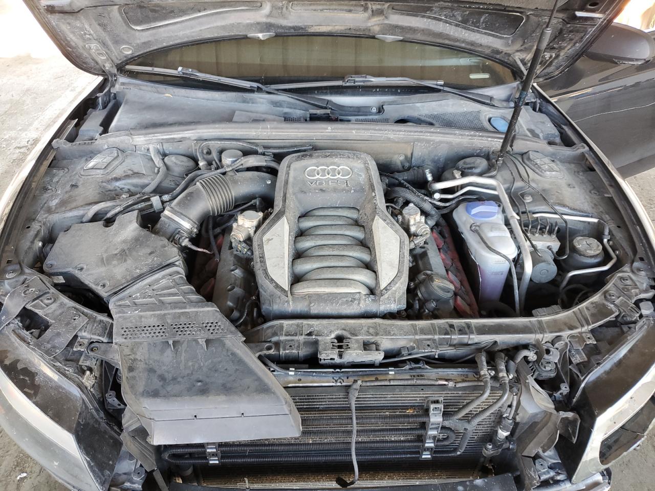 2010 Audi S5 Premium Plus VIN: WAUCVAFR3AA003638 Lot: 90405415