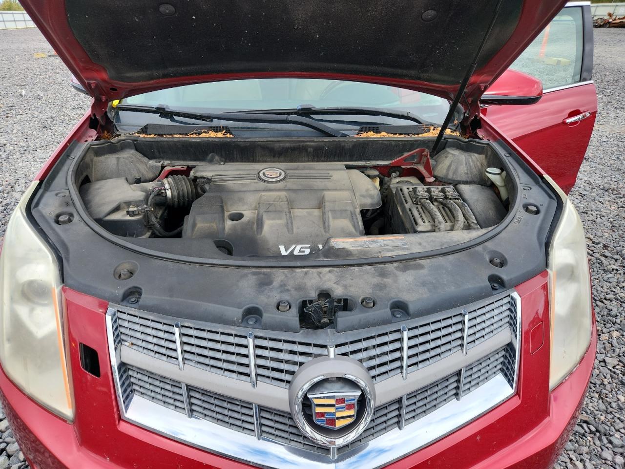 2011 Cadillac Srx Performance Collection VIN: 3GYFNBEY2BS553941 Lot: 85785305