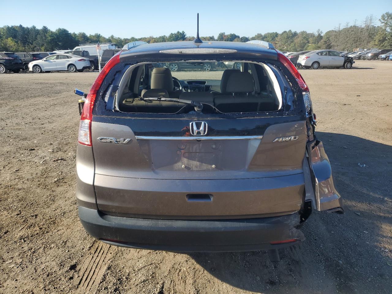 2013 Honda Cr-V Exl VIN: 5J6RM4H7XDL062539 Lot: 81195875