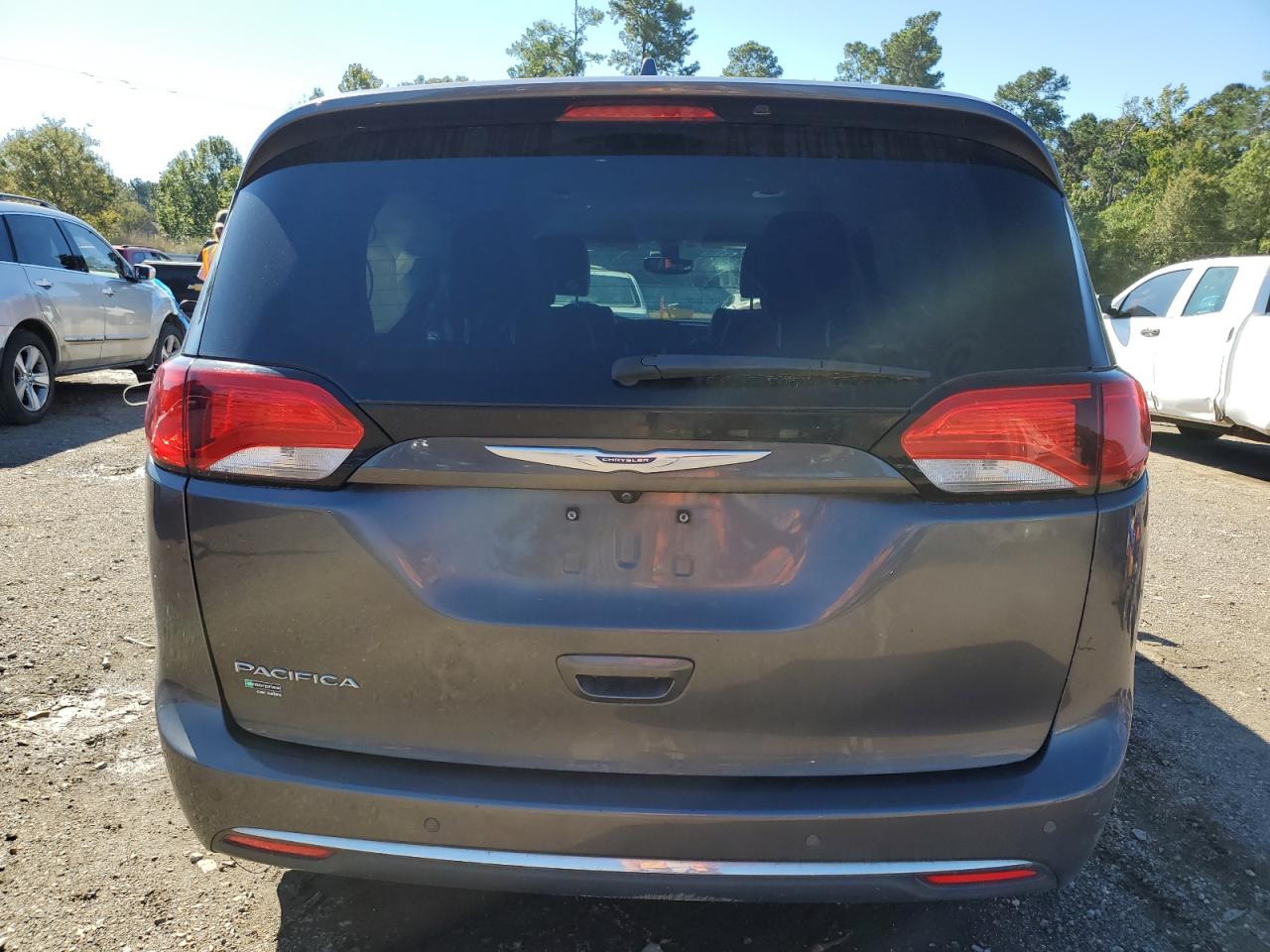 2020 Chrysler Pacifica Touring L VIN: 2C4RC1BG1LR285753 Lot: 87403355