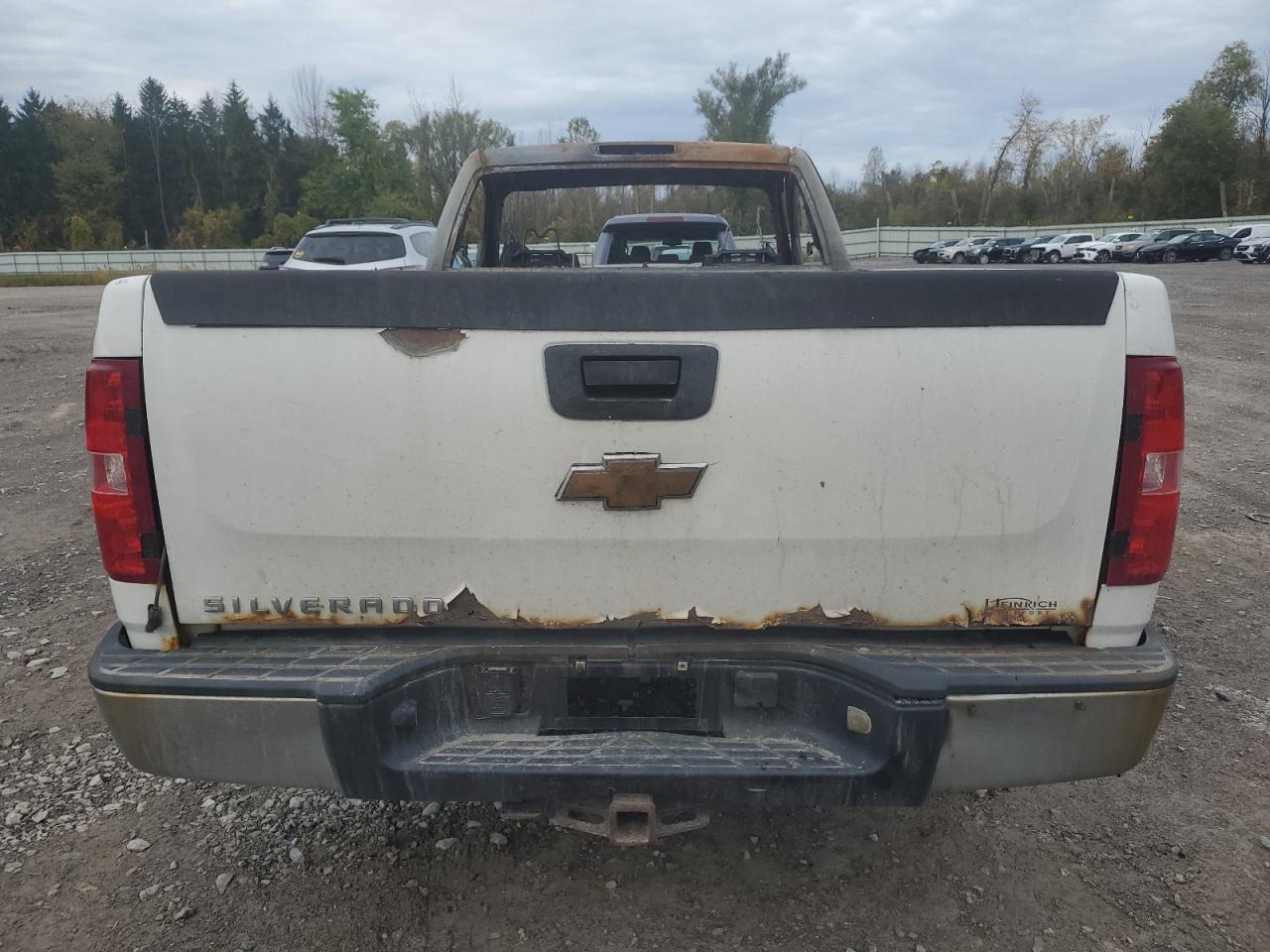 2009 Chevrolet Silverado C1500 VIN: 1GCEC14X79Z179088 Lot: 82486515