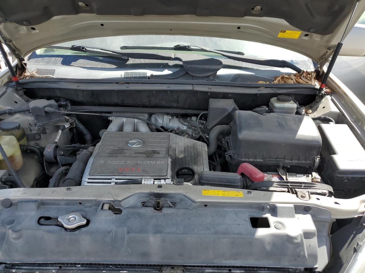 2002 Lexus Rx 300 VIN: JTJGF10U520129423 Lot: 86100505