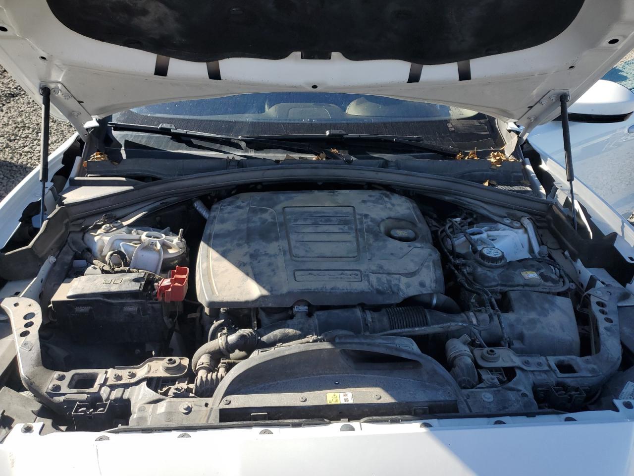 2020 Jaguar F-Pace Prestige VIN: SADCK2GX1LA635026 Lot: 87483055