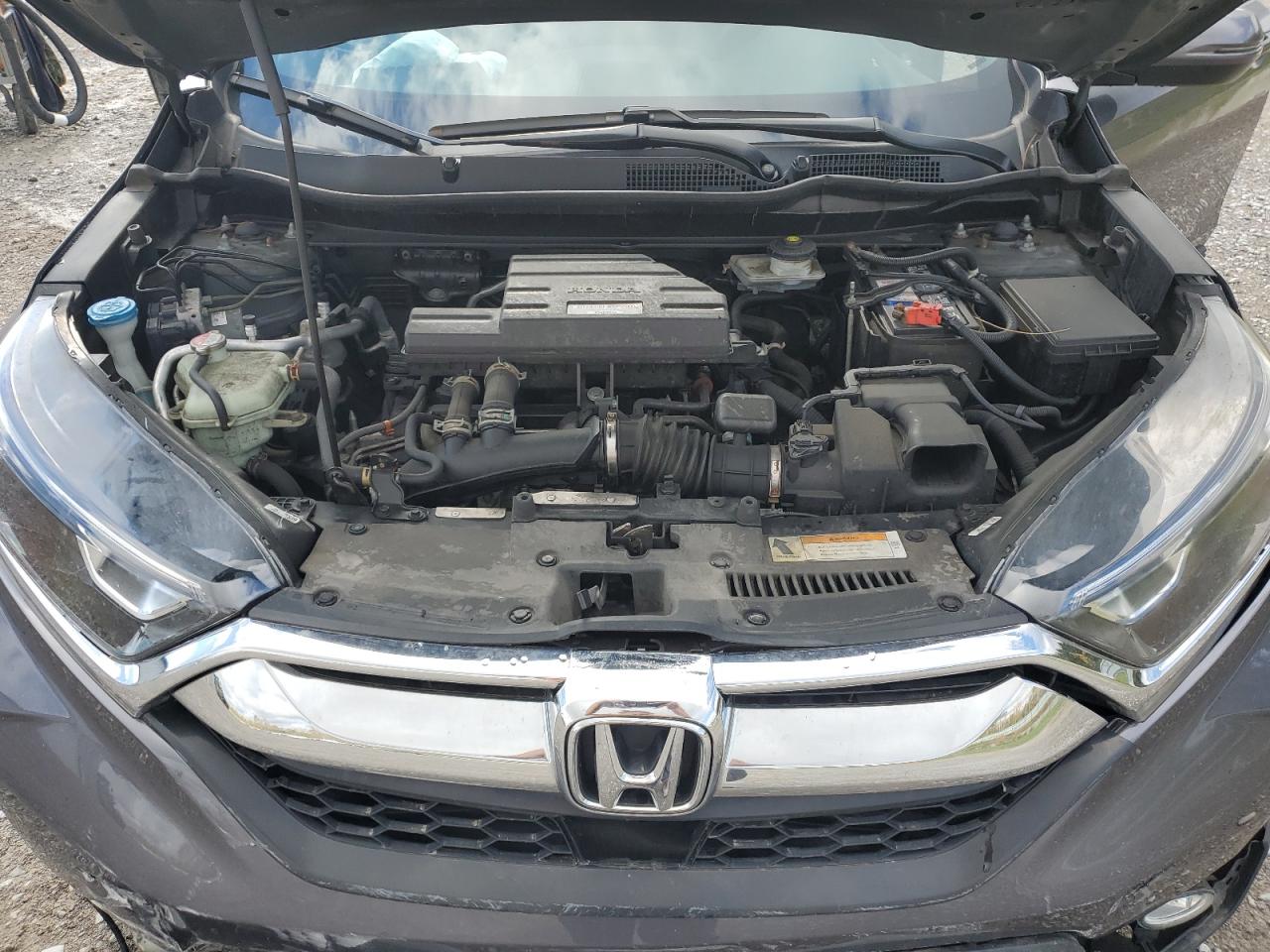 2019 Honda Cr-V Exl VIN: 2HKRW2H85KH667194 Lot: 86497205