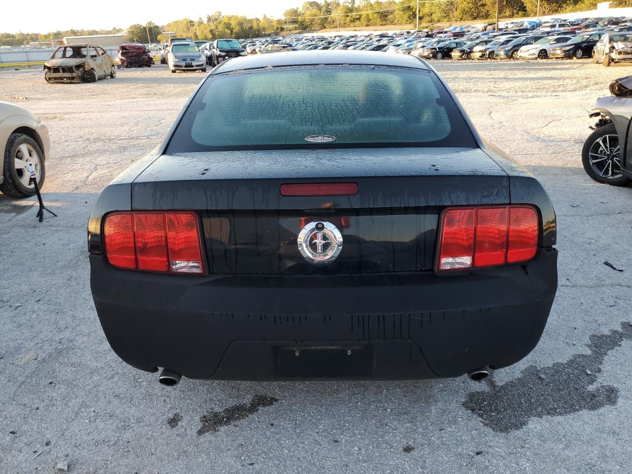 2009 Ford Mustang VIN: 1ZVHT80NX95101774 Lot: 85192005