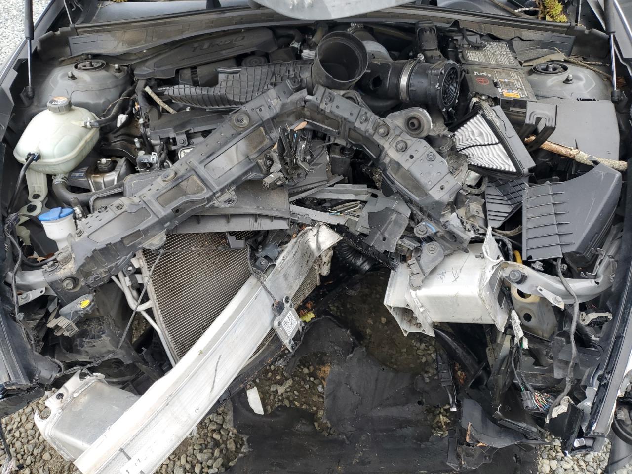 2020 Hyundai Sonata Limited VIN: 5NPEH4J22LH010932 Lot: 81969925