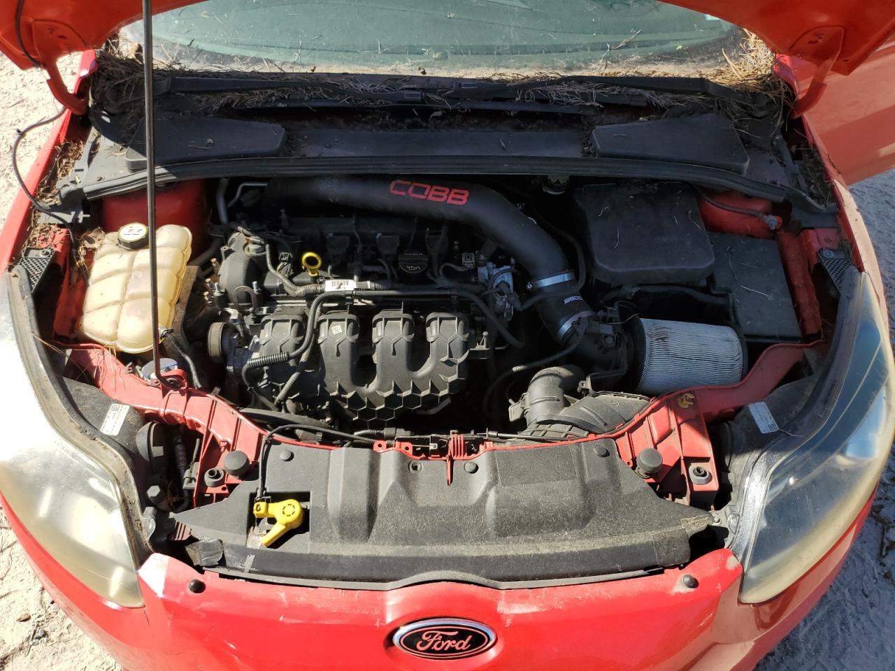 2014 Ford Focus St VIN: 1FADP3L98EL448636 Lot: 85308455