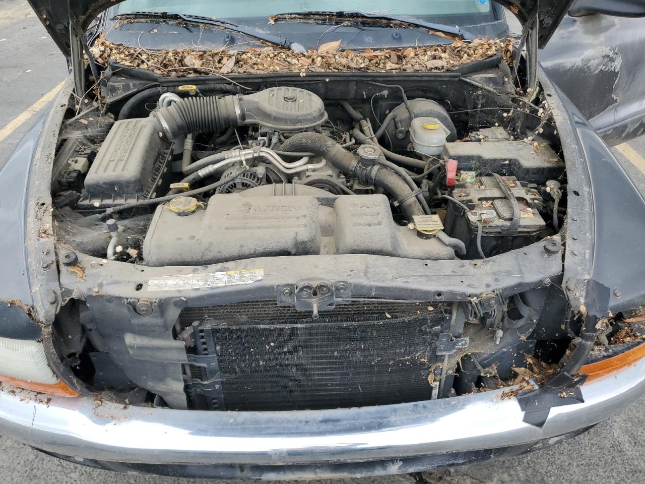 2003 Dodge Dakota Slt VIN: 1D7HL42X53S222866 Lot: 82229565