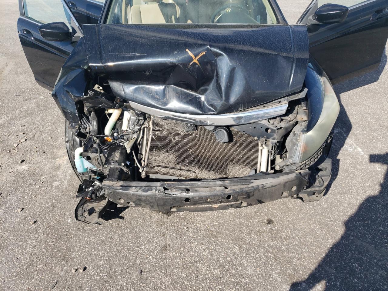 2011 Honda Accord Lxp VIN: 1HGCP2F43BA104222 Lot: 85323455