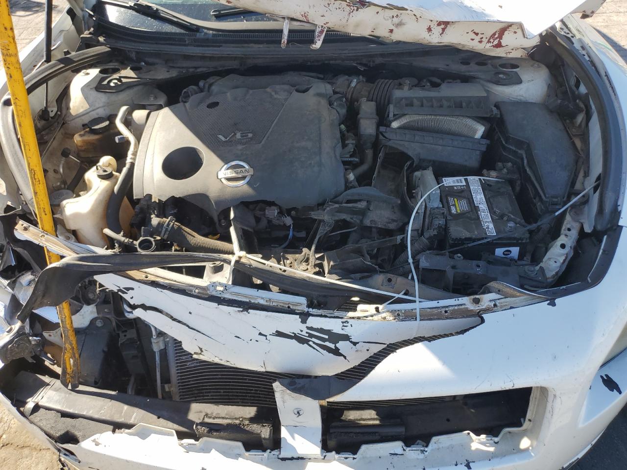 2010 Nissan Maxima S VIN: 1N4AA5AP8AC823291 Lot: 86631685