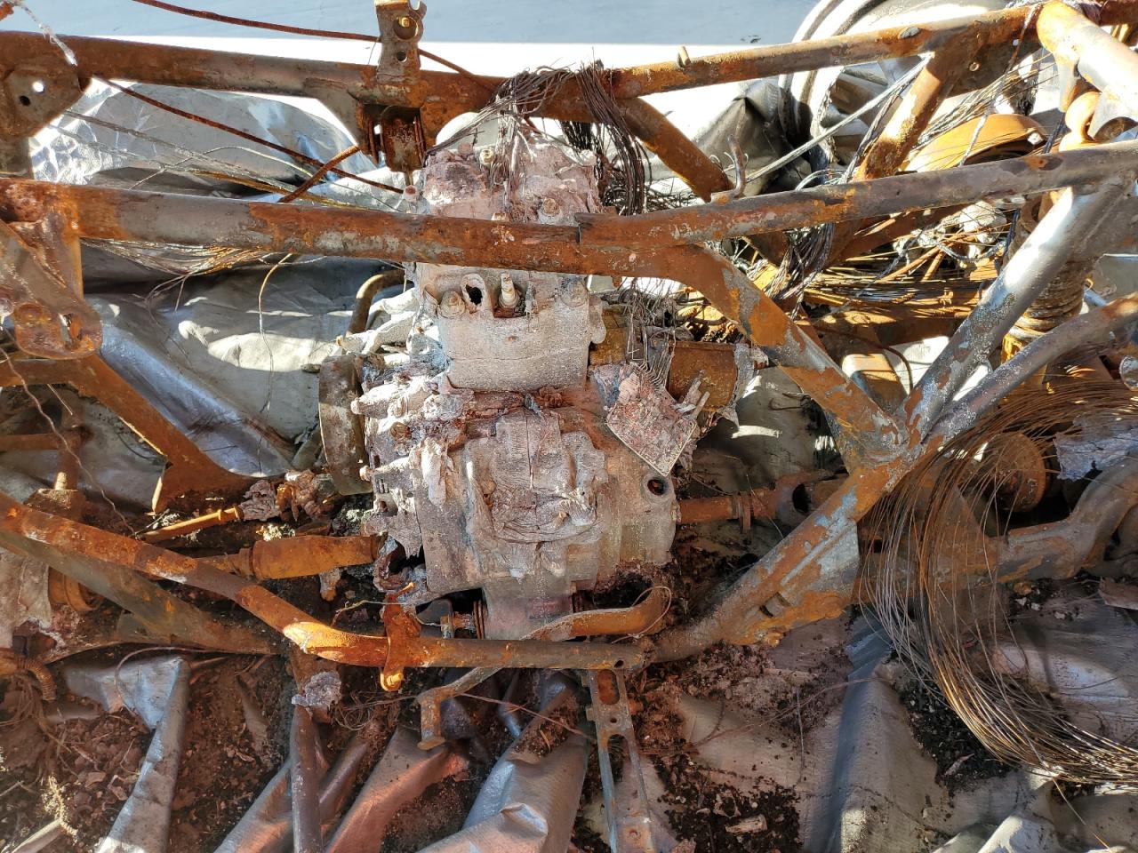 2024 Honda Trx420 Fm VIN: 1HFTE4001RJ001760 Lot: 84874135