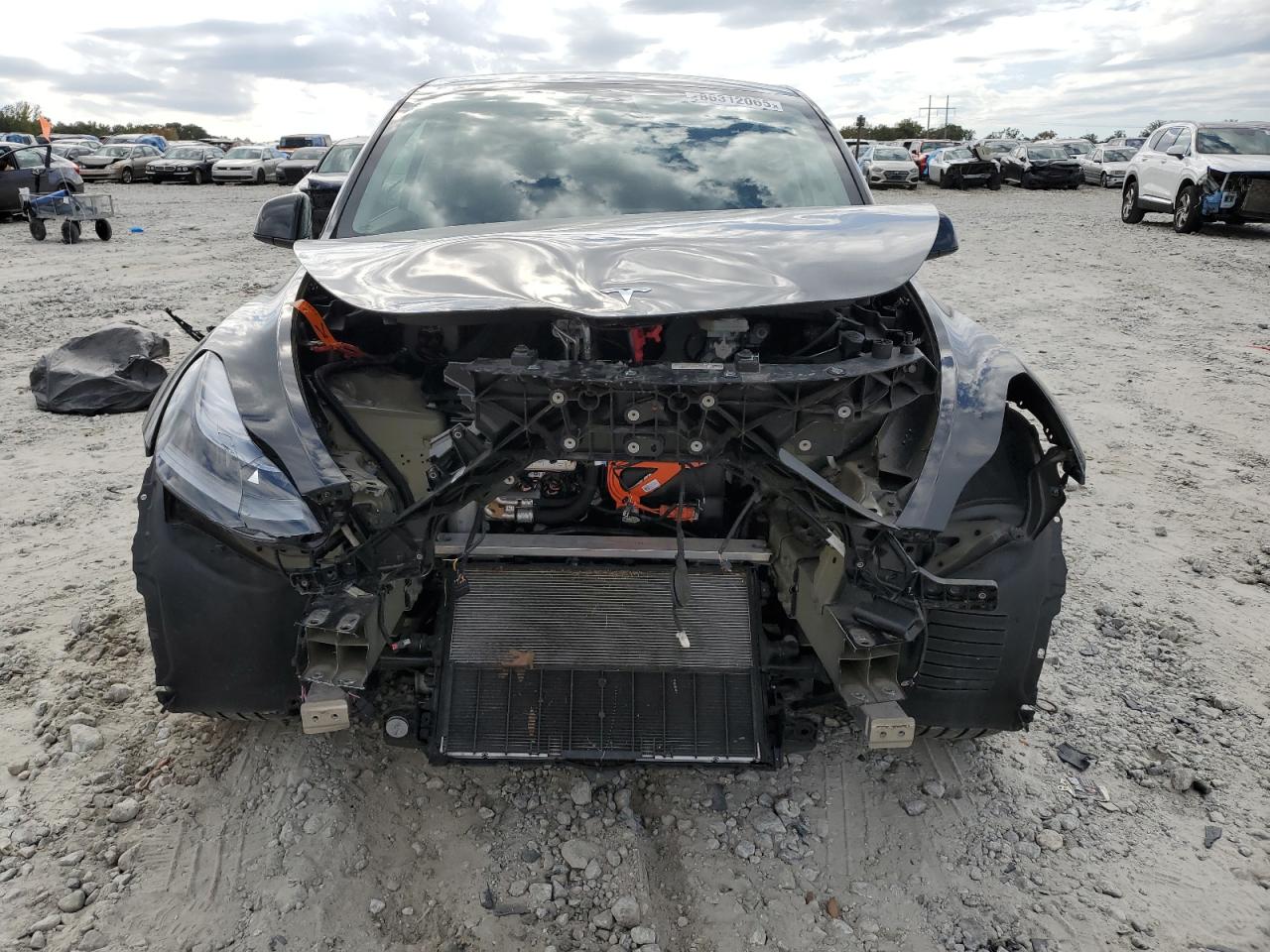 2025 Tesla Model Y VIN: 7SAYGDED0SA365266 Lot: 86312065