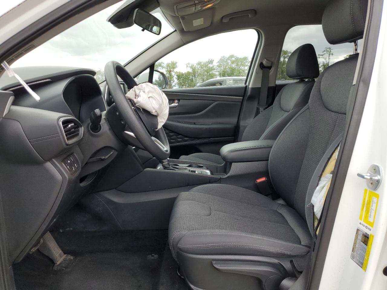 2019 Hyundai Santa Fe Se VIN: 5NMS2CAD5KH114018 Lot: 85930475