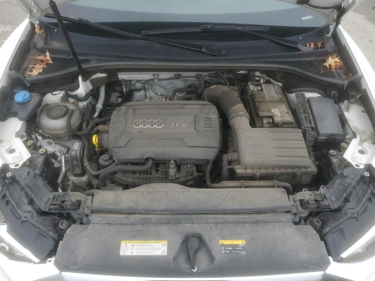 2019 Audi Q3 Premium VIN: WA1AECF36K1078492 Lot: 82760645