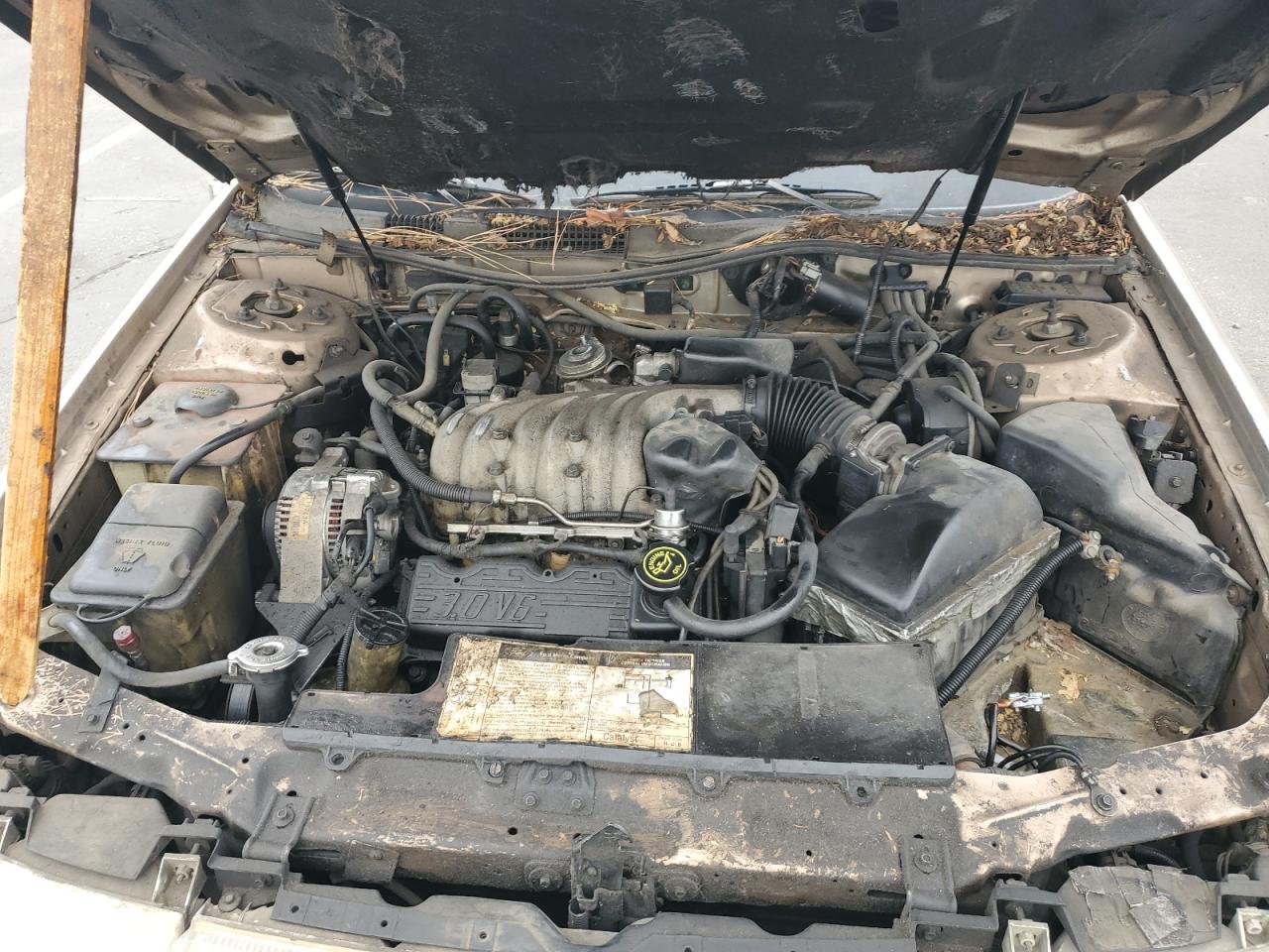 1992 Mercury Sable Gs VIN: 1MELM50U5NG639165 Lot: 84439755