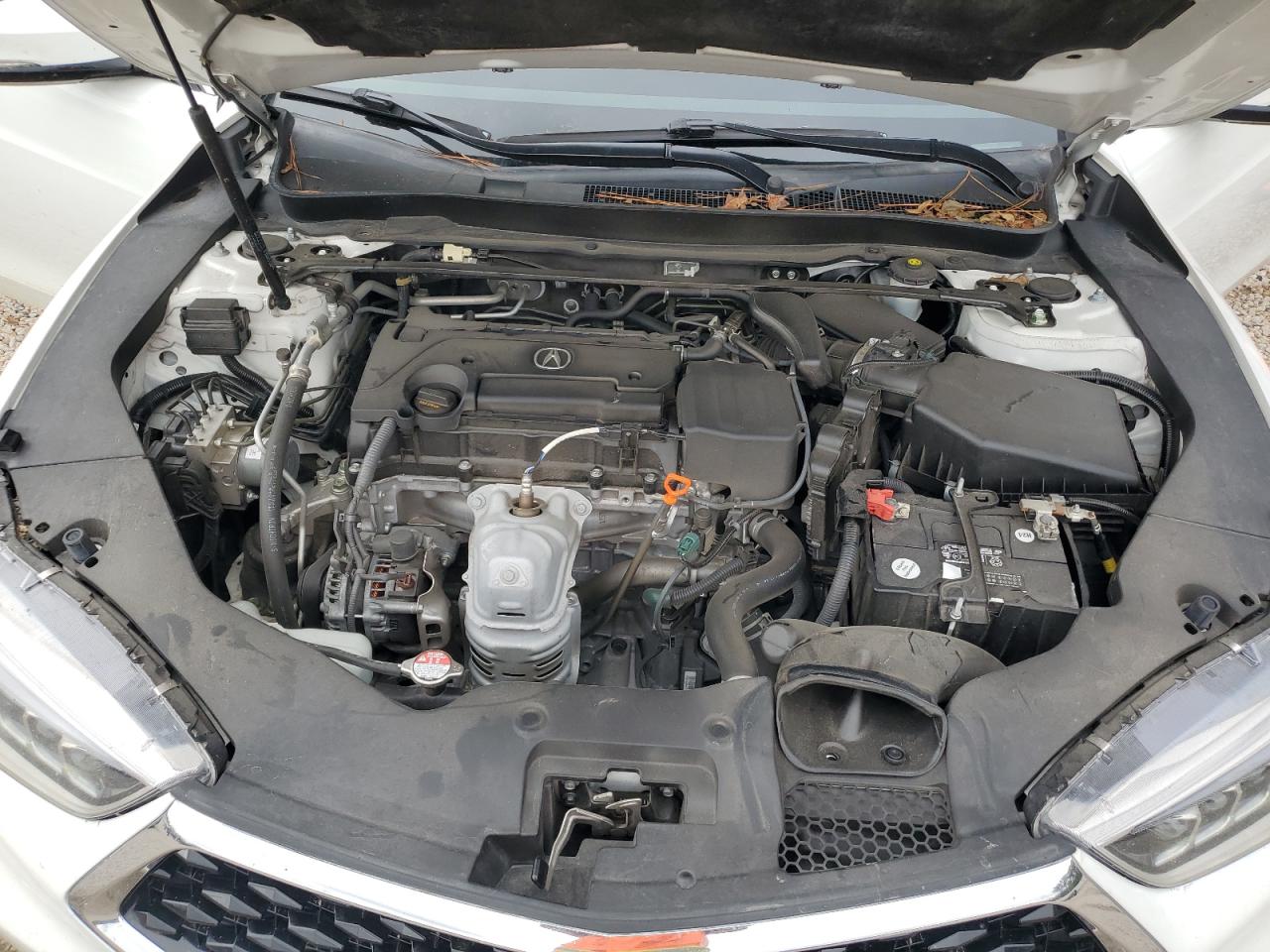 2018 Acura Tlx VIN: 19UUB1F33JA011381 Lot: 86426545