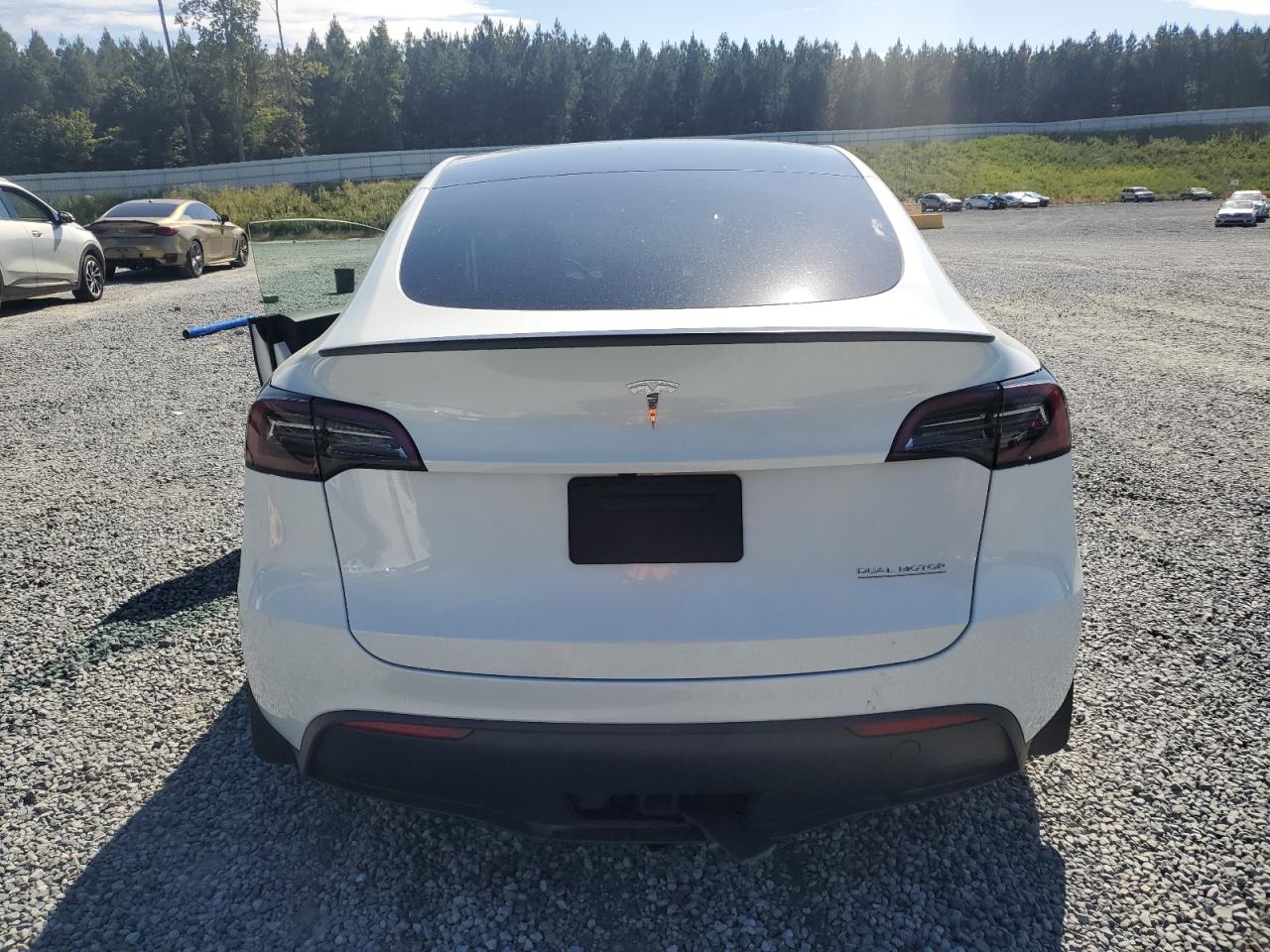 2025 Tesla Model Y VIN: 7SAYGDEF0SA348436 Lot: 82036065