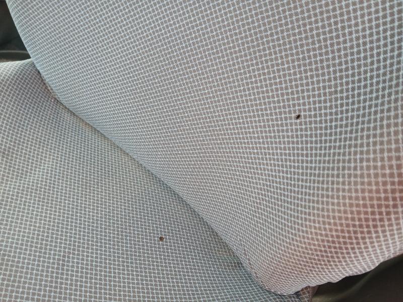 2005 TOYOTA YARIS 1.0 VVT-I COLOUR COLLECTION 5DR