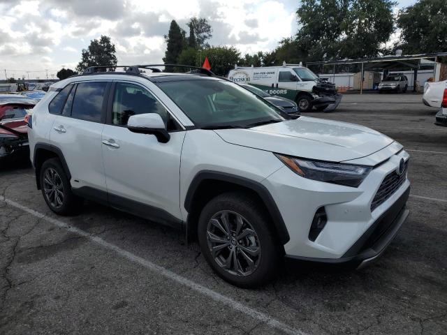 TOYOTA RAV4 2024 Белы