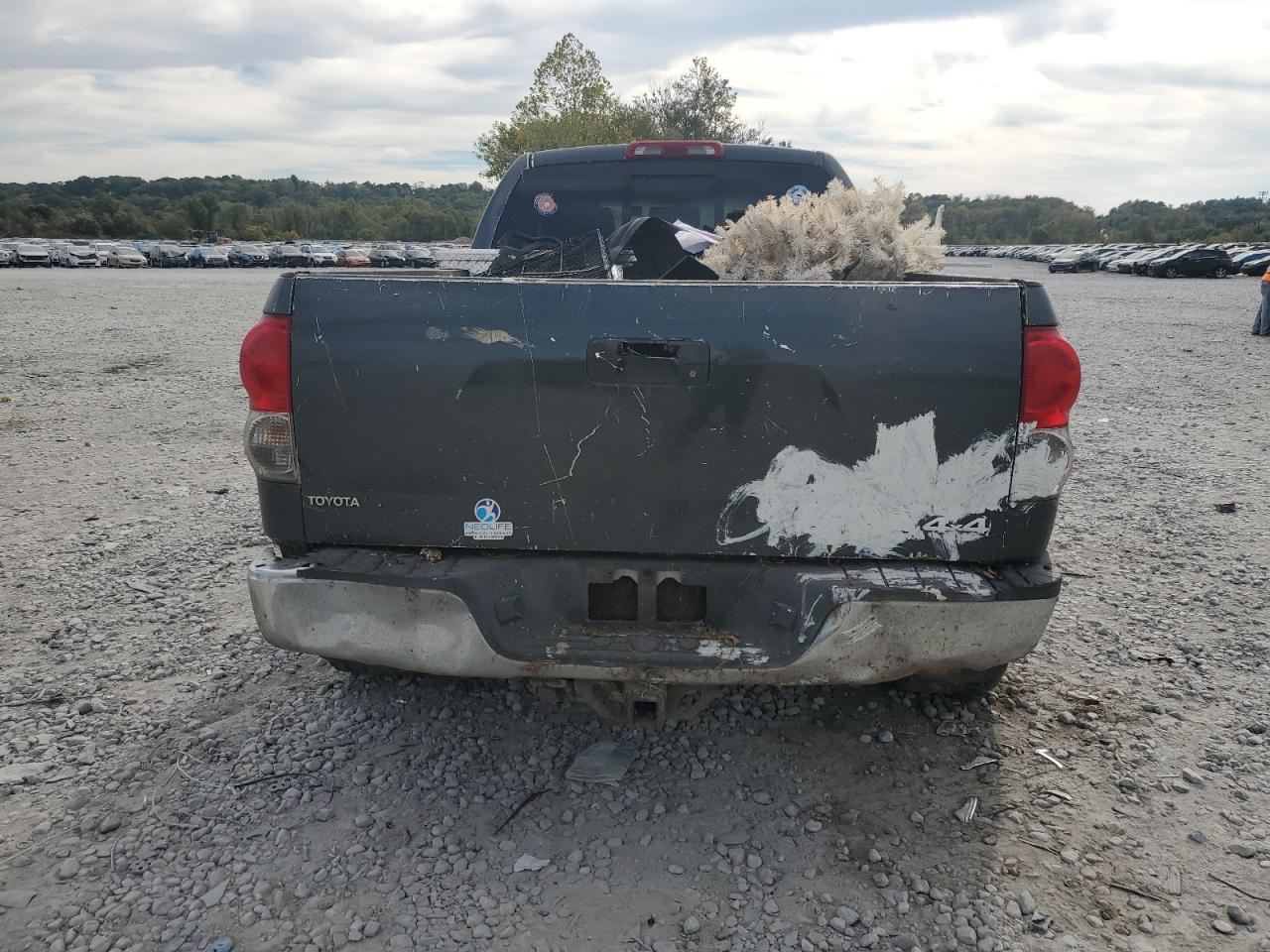 2007 Toyota Tundra Double Cab Sr5 VIN: 5TBBT54147S450993 Lot: 87251635