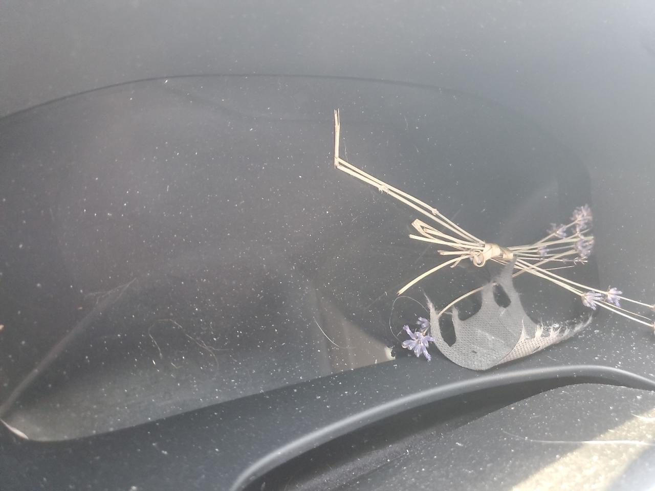 2025 Honda Cr-V Sport-L VIN: 7FARS6H83SE003837 Lot: 87414725