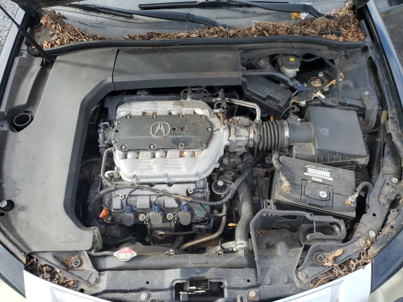 2010 Acura Tl VIN: 19UUA8F57AA023837 Lot: 84876305