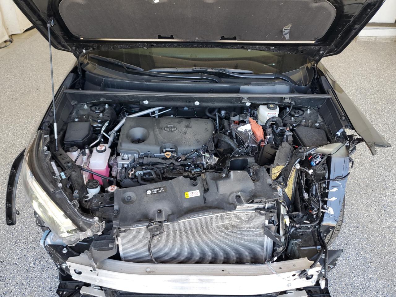 2025 Toyota Rav4 Le VIN: 4T3LWRFV5SU177774 Lot: 85325895