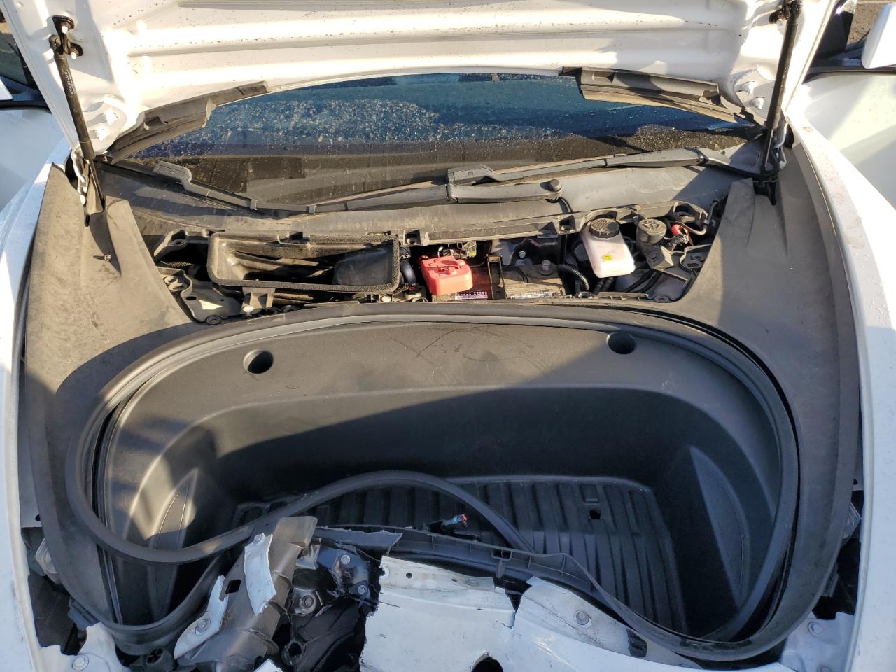 2021 Tesla Model 3 VIN: 5YJ3E1EA5MF998174 Lot: 86132635