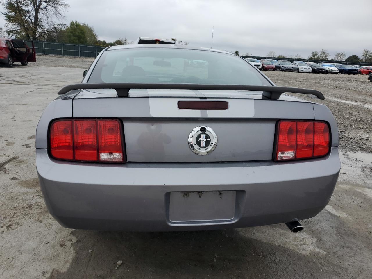 2006 Ford Mustang VIN: 1ZVFT80N465224568 Lot: 90104505