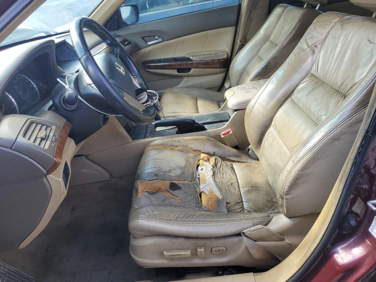 2009 Honda Accord Exl VIN: 1HGCP368X9A032633 Lot: 82606445
