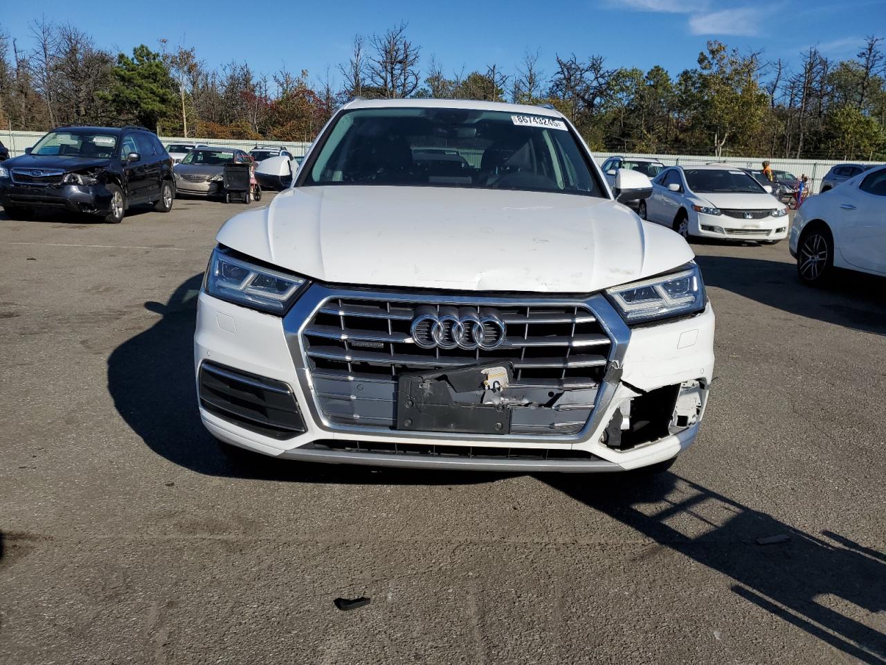 Фото: WA1BNAFY6L2017059