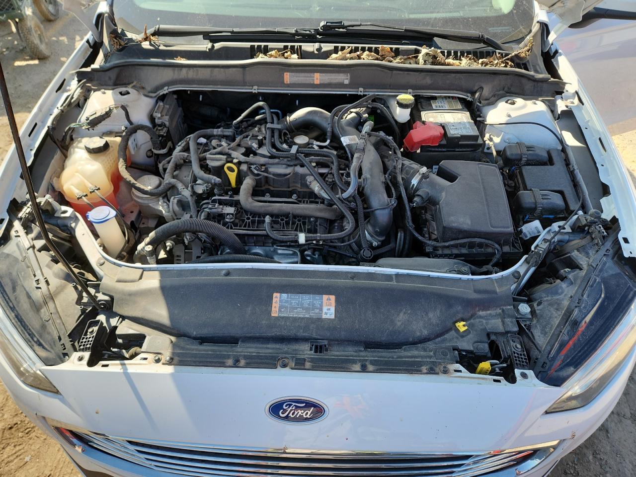 2019 Ford Fusion Se VIN: 3FA6P0HDXKR238928 Lot: 81795005