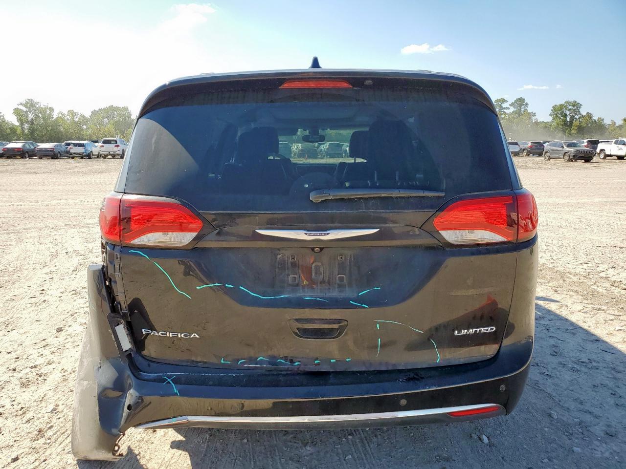 2020 Chrysler Pacifica Limited VIN: 2C4RC1GG0LR109480 Lot: 83937805
