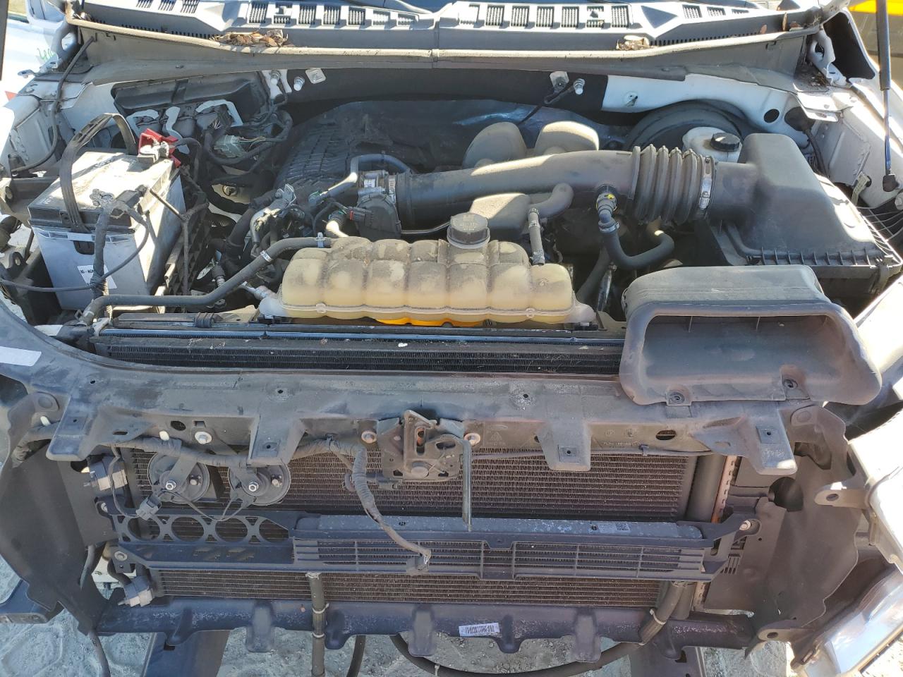 2019 Ford F150 VIN: 1FTMF1CB7KKE20025 Lot: 82393225