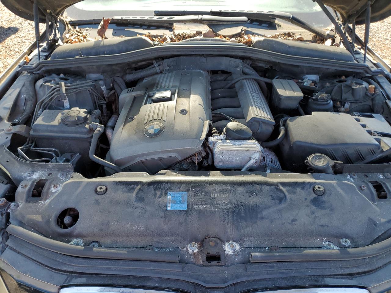 2006 BMW 530 Xi VIN: WBANF73596CU20641 Lot: 84287145